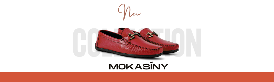 Mokasíny 