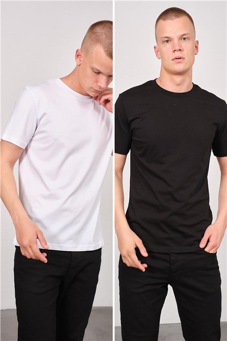 Men's Crew Neck 2-Pack Regular Fit Basic T-Shirt 990  #451385