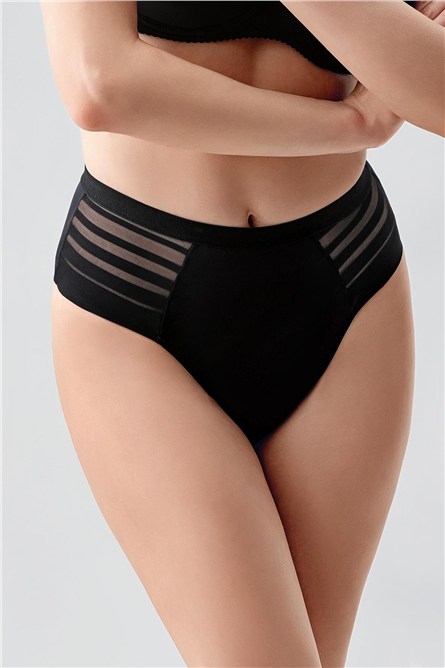 High-Waisted Sheer Mesh Detail Panties - Elegant Lace & Tulle Briefs - Style C19303  #452338