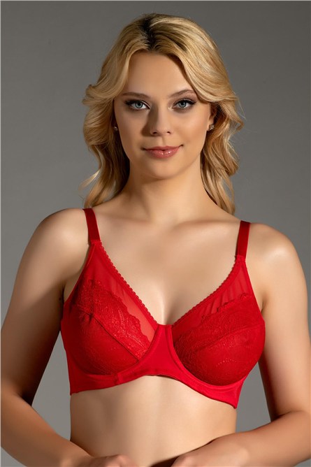 Lace Detail Minimizer Bra C12301  #451242