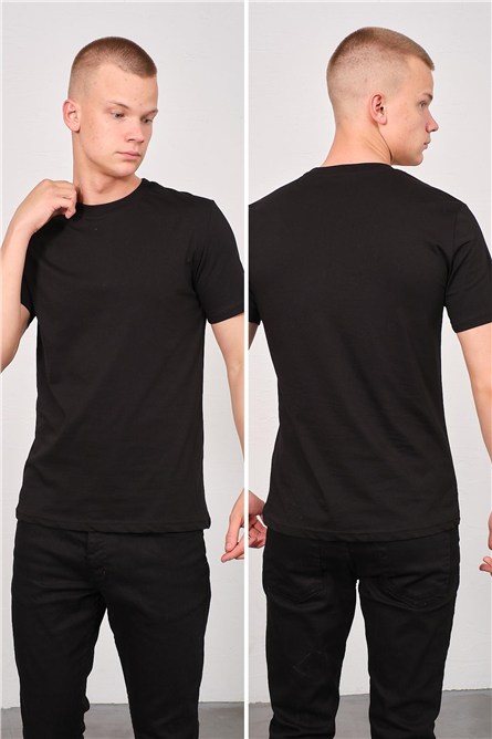 Men's Crew Neck 2-Pack Regular Fit Basic T-Shirt 990  #451382