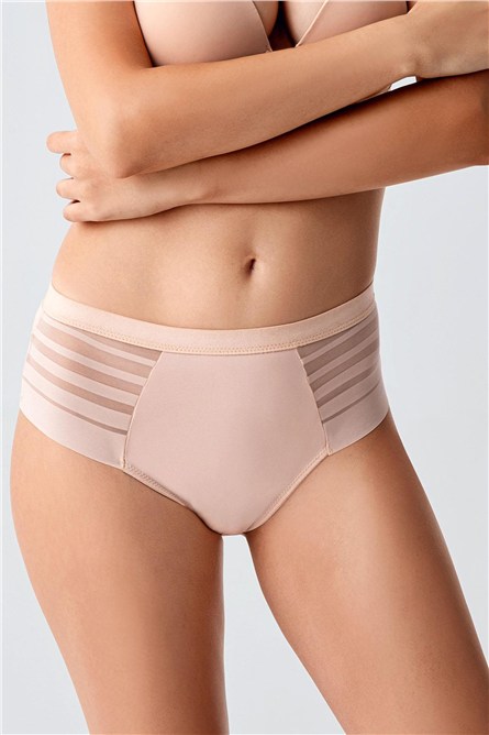 High-Waisted Sheer Mesh Detail Panties - Elegant Lace & Tulle Briefs - Style C19303  #452337